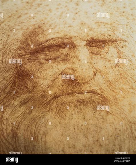 Leonardo Da Vinci Portrait Man High Resolution Stock Photography and ...