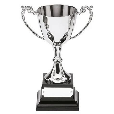 Sports Trophy - Cricket Batsman Trophy Manufacturer from Madurai