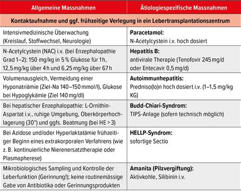 Das akute Leberversagen: ein seltenes, aber lebensbedrohliches Krankhe ...