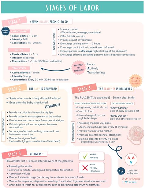 Stages of Labor – 4 Stages, Interventions, and Nursing Care