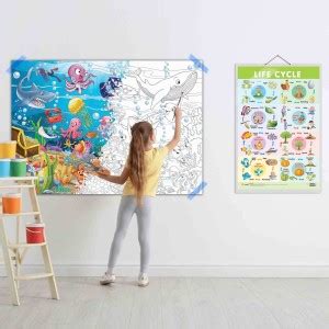 Life Cycle and GIANT UNDER THE OCEAN COLOURING POSTER | Combo of 1 ...