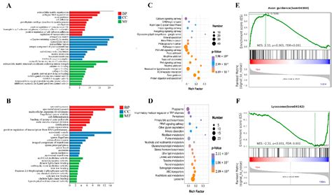 Comparative Analysis of Epididymis Cauda of Yak before and after Sexual ...