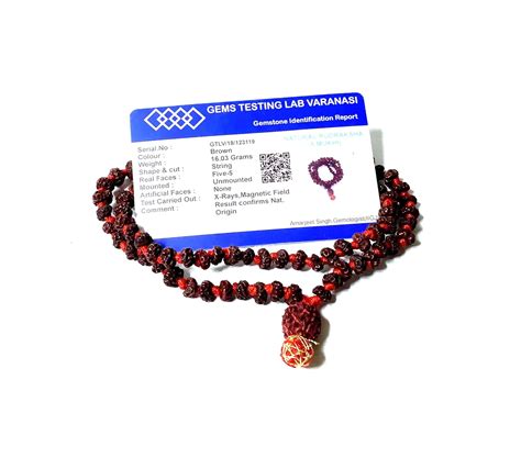 MAHANT JI 100% Natural & Certified 108 + 1 Bhadraksha Mala with 5 Mukhi ...