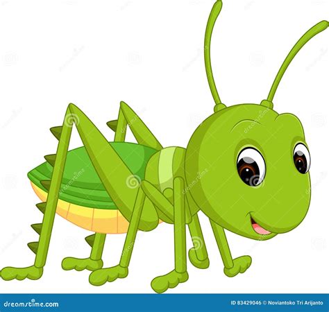 Cricket Insect Clipart Pictures