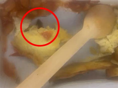 A cockroach appeared in the food of an Air India flight | એર ઈન્ડિયાની ...