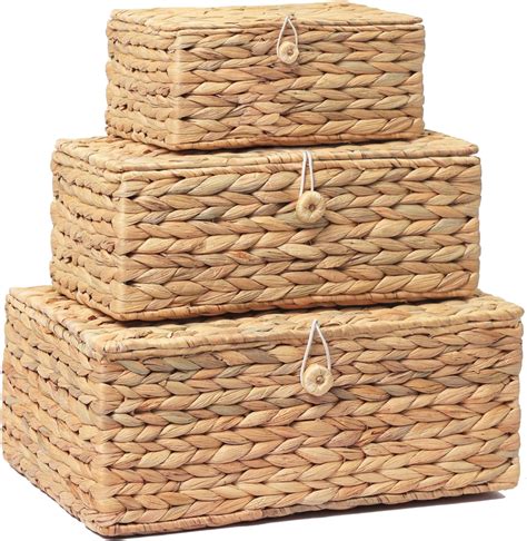 Amazon.com: Wicker Storage Baskets with Lids – Set of 3 (Large, Medium ...