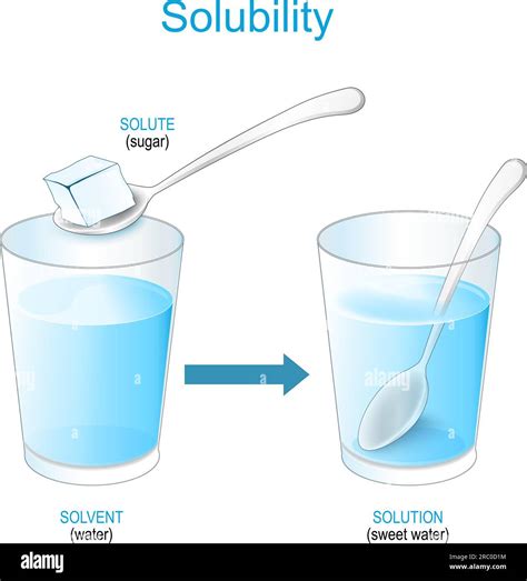 Solubility Process 的图像结果