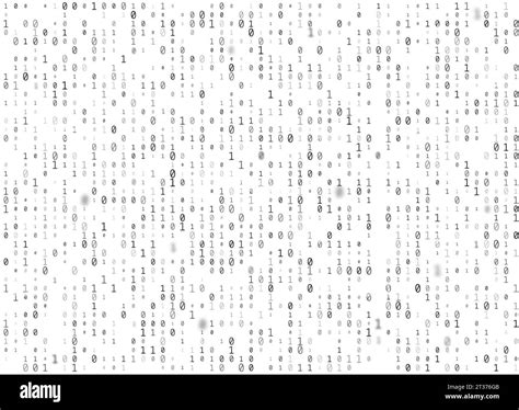 Code White Simulation 的图像结果