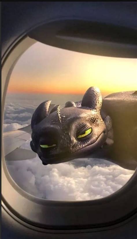Image result for Toothless Flying Scene