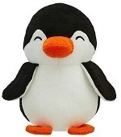 Teddy Bear - Shop for The Best Teddy Bear Online | Shopsy