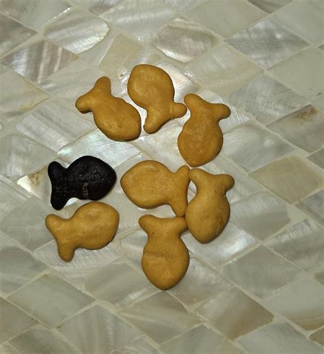 Found one black goldfish (not burnt) in my kid's bag of cheddar ...