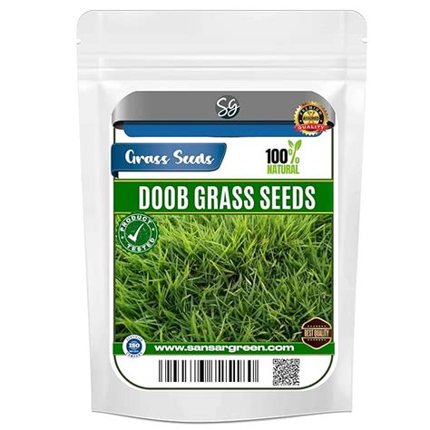 Sansar Green® Doob Grass Seeds (200 gm) : Amazon.in: Garden & Outdoors