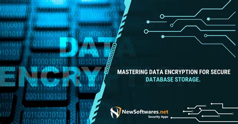 Data Storage Encryption 的图像结果