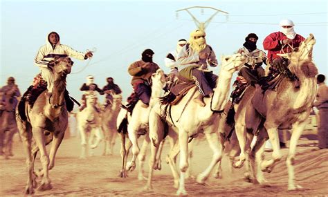 Everything You Need To Know About Camel Racing