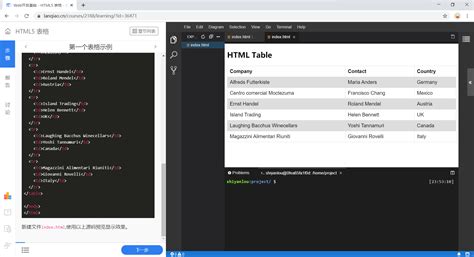 VBA HtmlTable 的图像结果