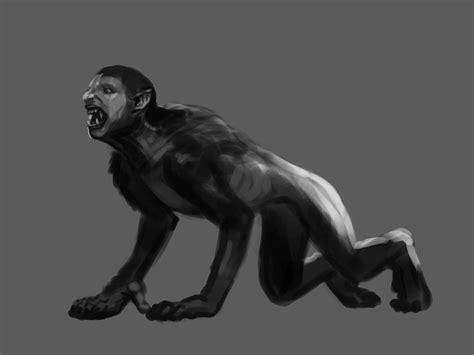 Image result for Werewolf Transformation 12