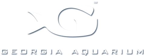 Georgia Aquarium Case Study - James Dunckley