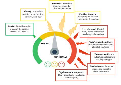 Common Mental Health Disorders In Disasters