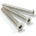 Self Tapping Screw - Pan Torx Self Tapping Screw Trader - Wholesaler ...