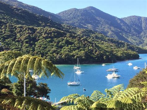 THE 10 BEST Things to Do in Marlborough Region - 2021 (with Photos ...