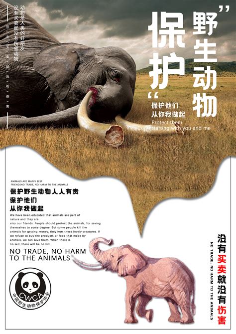野生动物保护|平面|海报|夢與 - 临摹作品 - 站酷 (ZCOOL)