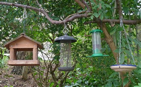12 Different Types of Bird Feeders