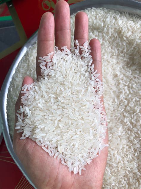 Jasmine Rice - Rice & More