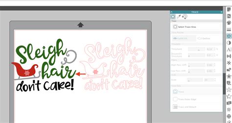Silhouette Tutorial How to Trace 的图像结果