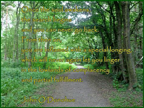 35 John O'Donohue ideas in 2025 | anam cara, soul friend, irish quotes