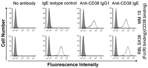 A Fully Human IgE Specific for CD38 as a Potential Therapy for Multiple ...