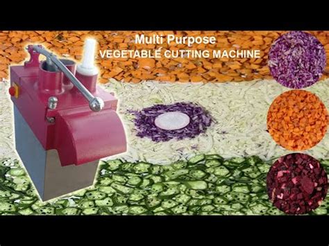 Vegetable Cutting Machine and Sugarcane Juice Machine Retailer | Vtech ...