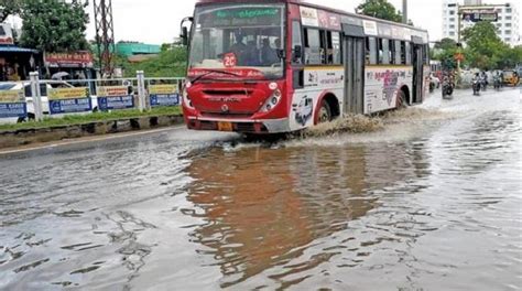 நெல்லையில் பலத்த மழை - நெல் நாற்றுகள் நீரில் மூழ்கி சேதம் ...