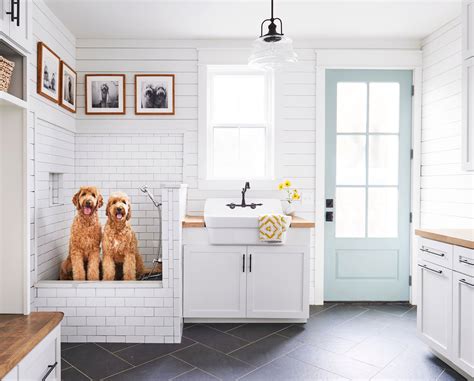 16 Dog Room Ideas for a Functional Pup Sanctuary