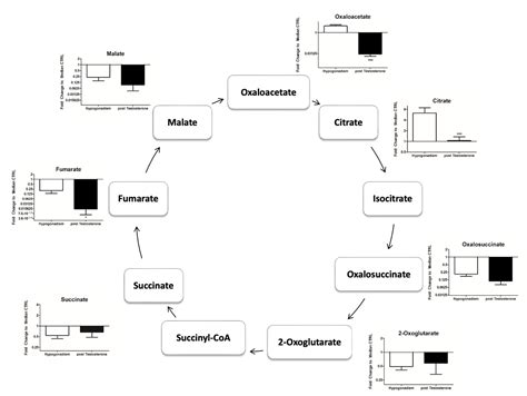 Plasma Metabonomics in Insulin-Resistant Hypogonadic Patients Induced ...