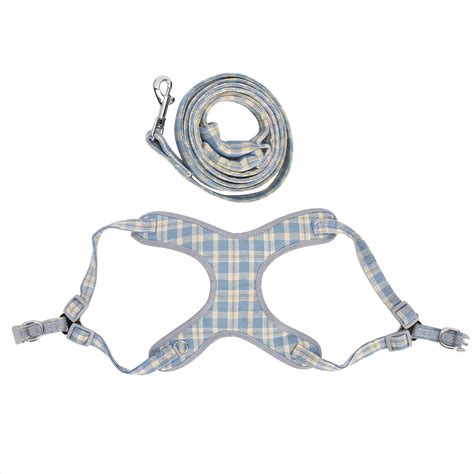 Buy EBTOOLS Pet Harness Leash Set, Pet Chest Collar Strap Dog Vest ...