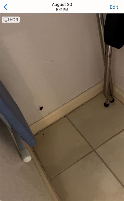 QUALITY INN LITTLE CREEK - Updated 2025 Prices & Hotel Reviews ...