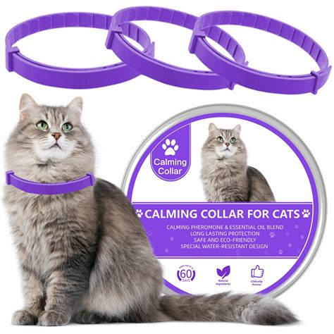 How Do Calming Collars Work For Cats at Patty Jackson blog