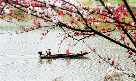 花开春暖 春暖花开素材摄影图 自然风景 自然景观 摄影图_三角牛