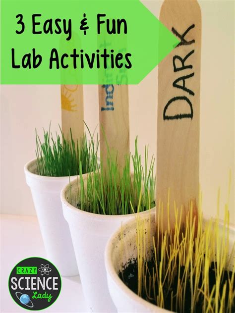 Image result for Scientific Method Middle School