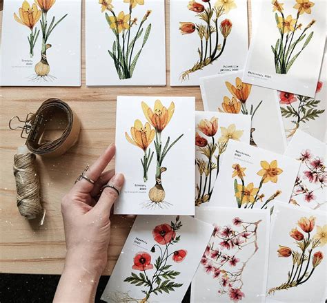 Image result for Spring Illustration