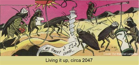 Image result for Large Cockroach Attack