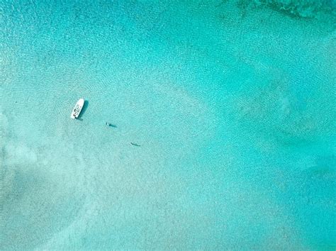 What's New in The Bahamas in February 2023 | Tourism Today