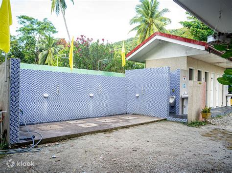 Whale Shark Snorkeling and Swimming with Sardines in Moalboal - Klook India