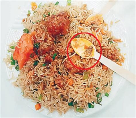 एलांते मॉल के फूड कोर्ट में अब खाने की प्लेट में निकला कोकरोच - in the ...