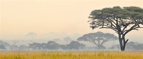 Tanzania Tourism: All You Need to Know Before You Go (2024)