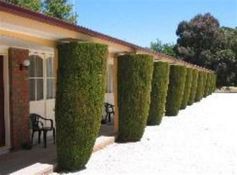 CRESWICK MOTEL (Victoria) - Hotel Reviews, Photos, Rate Comparison ...