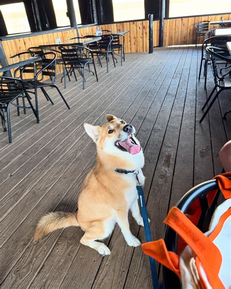 The Cattle Dog Tavern (@the_cattle_dog_tavern) • Instagram photos and ...