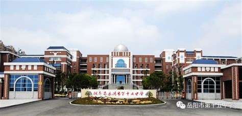 岳阳县三中：让高校专业基地成为特长生提升自我的“加速器”