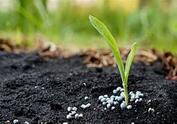 nitrogen fertilizer 的图像结果