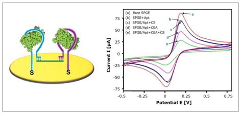 Immobilization Techniques for Aptamers on Gold Electrodes for the ...